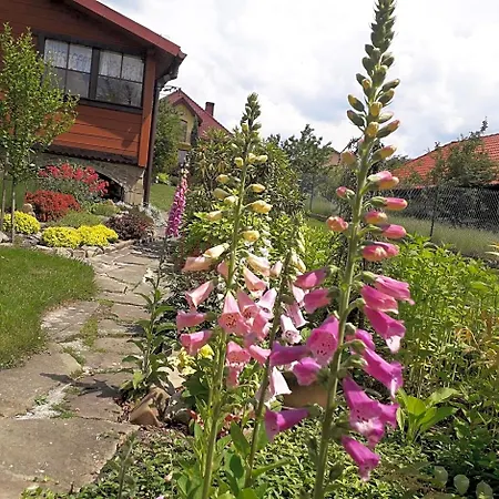 Podlas Lodge *