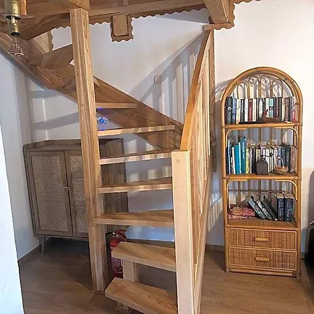 Orman Evi Podlas *