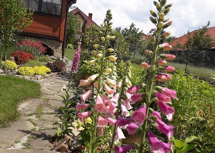 אכסניה Podlas *